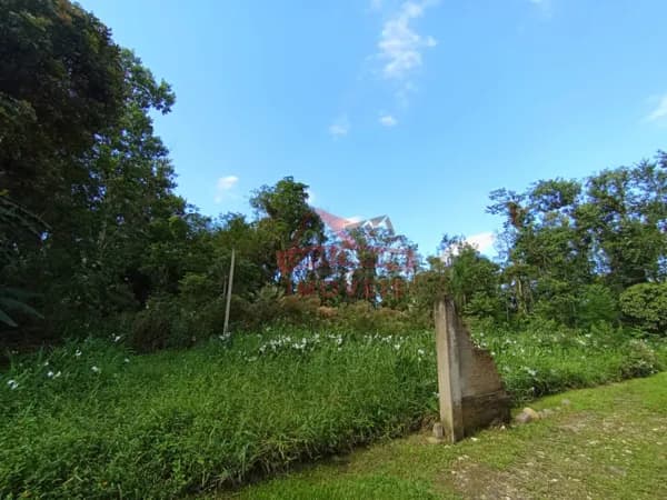 Lote/Terreno em Morretes - Sitio do Campo