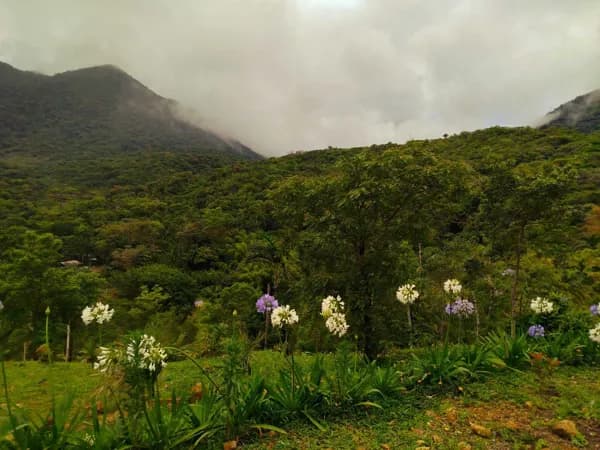 Chácara em Rio Sagrado, Morretes/PR