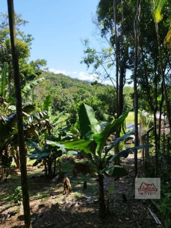 Casa Padrão para Venda em SANTA FÉ Morretes-PR