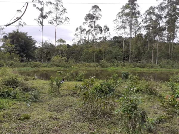 Chácara em Sambaqui, Morretes/PR