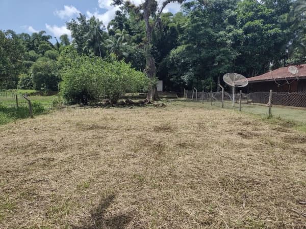 Terreno para Venda em Vila das Palmeiras Morretes-PR