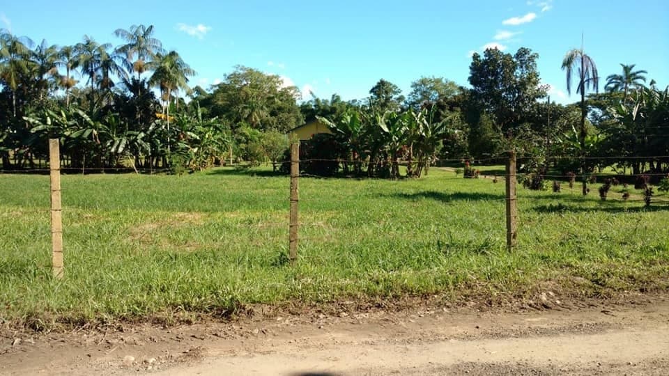 Terreno para Venda em Núcleo Rio do Pinto Morretes-PR