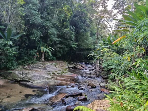 Chácara em Sambaqui, Morretes/PR