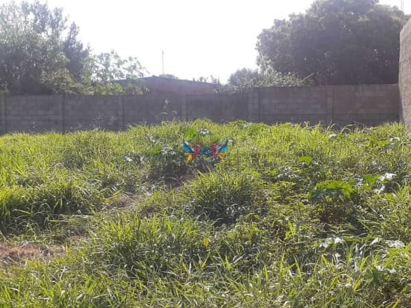Terreno à venda | Avenida Antero Lemes - Sidrolândia/MS