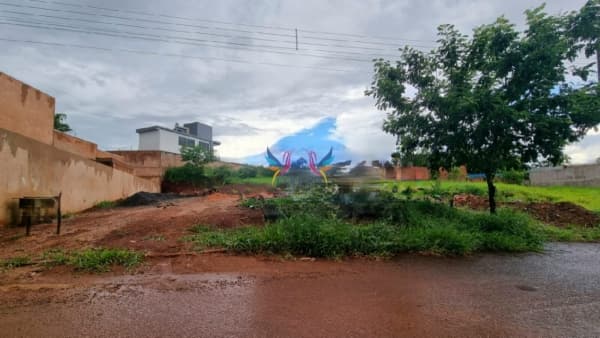 Terreno em frente à área de proteção ambiental.