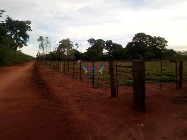 Chácara com 7 hectares