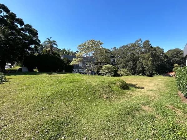 Tamboré 01