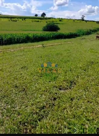 Fazenda 108 hectares em Coqueiral/MG
