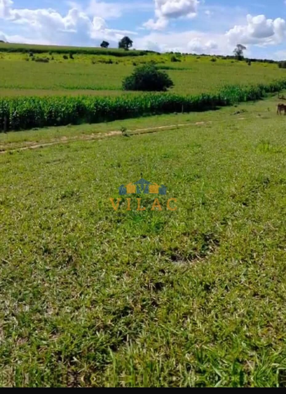 Fazenda 108 hectares em Coqueiral/MG