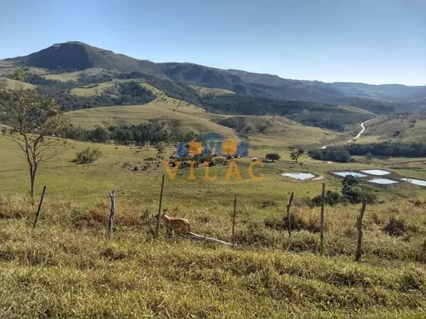 Fazenda com 115,52 hectares para Pecuária, Cafeicultura, Piscicultura ou Lazer em Ilicínea/MG