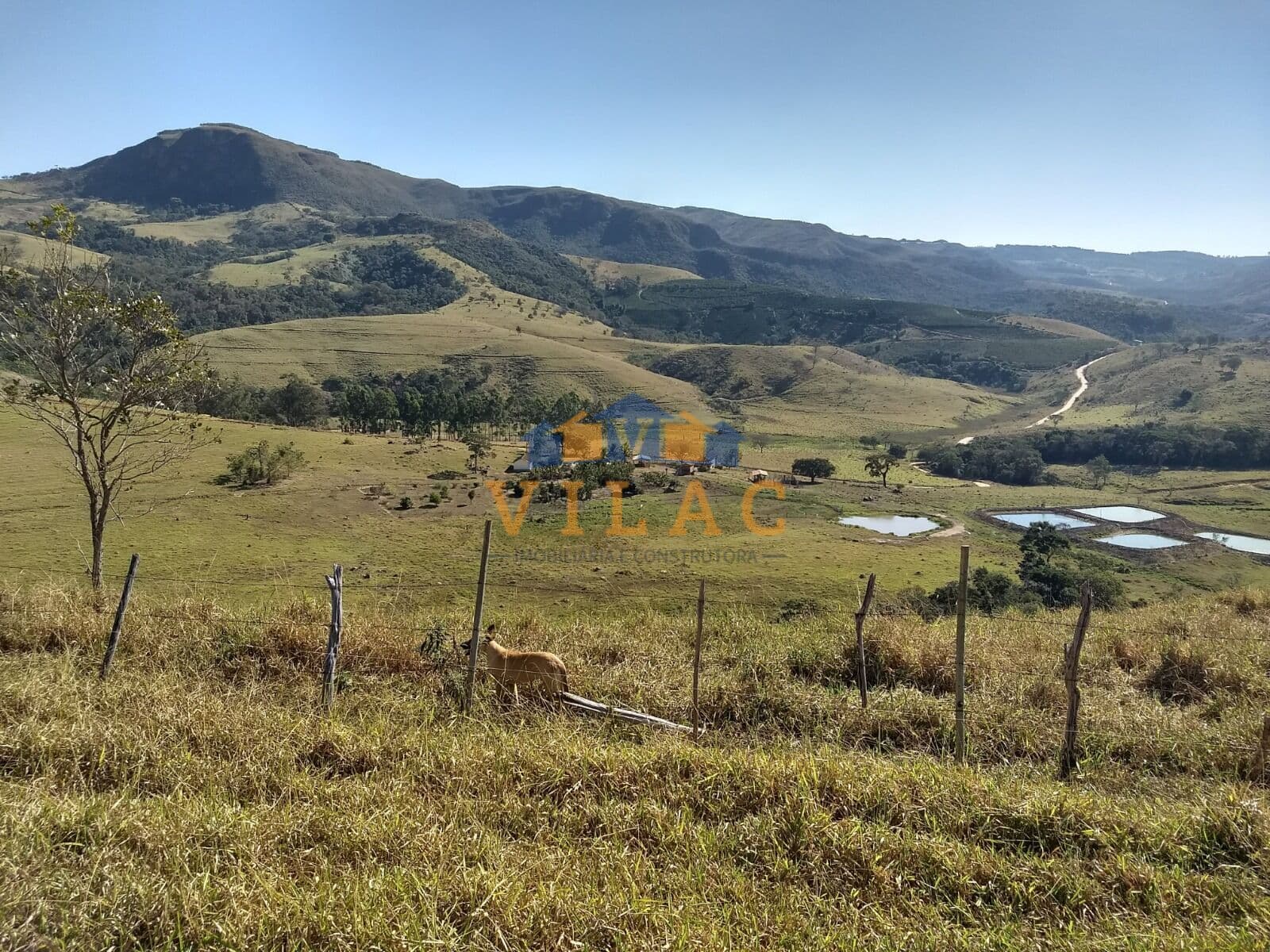 Fazenda com 115,52 hectares para Pecuária, Cafeicultura, Piscicultura ou Lazer em Ilicínea/MG