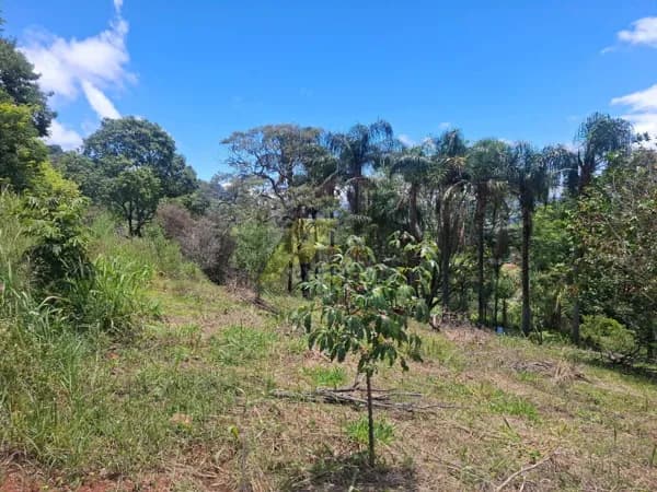 Terreno Urbano, com lago, em Ponte Alta, Extrema/MG