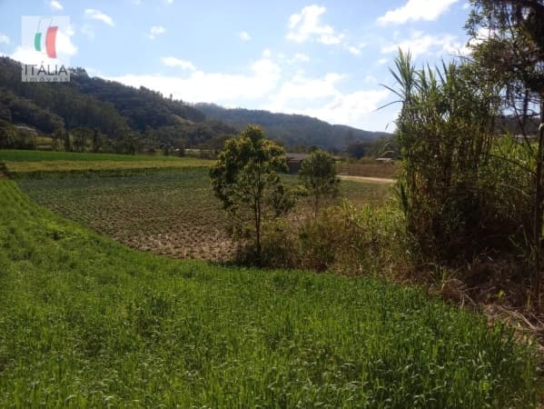 TERRENO PARA SITIO OU EMPRESA