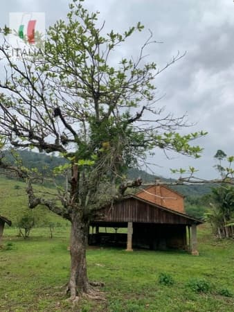 Sítio para Venda em Oliveira Tijucas-SC