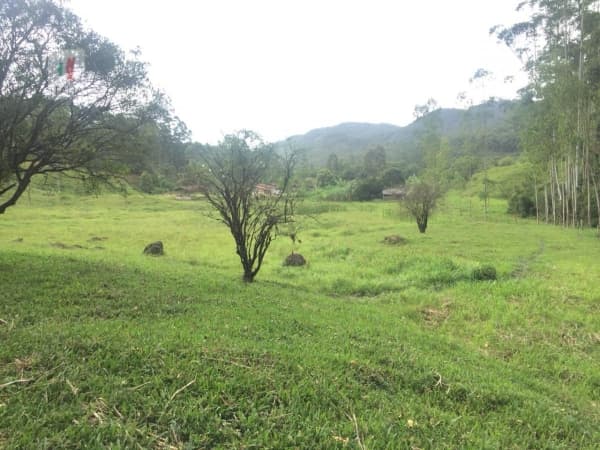 Sítio para Venda em Espraiado Nova Trento-SC