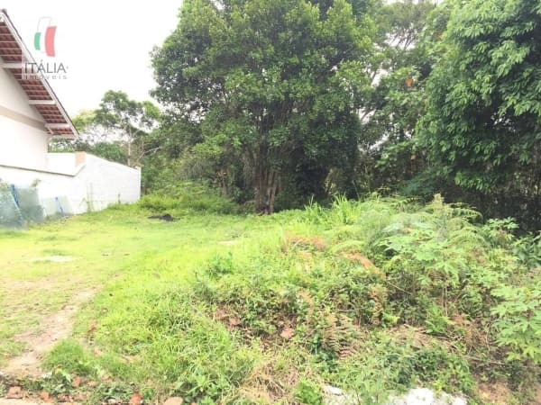Terreno plano