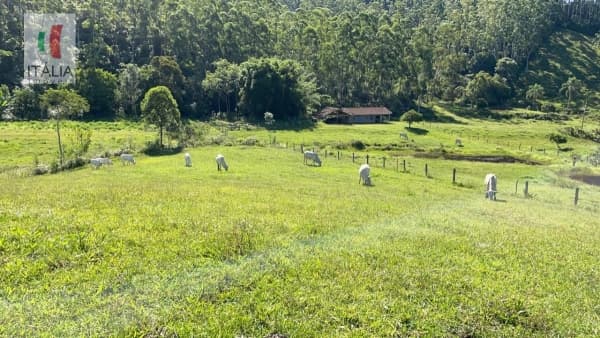 Sítio em Moura, Canelinha/SC