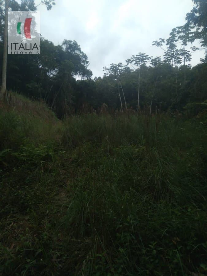 Sítio para Venda em Moura Canelinha-SC