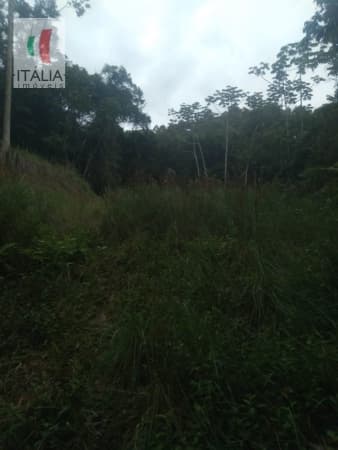 Sítio para Venda em Moura Canelinha-SC