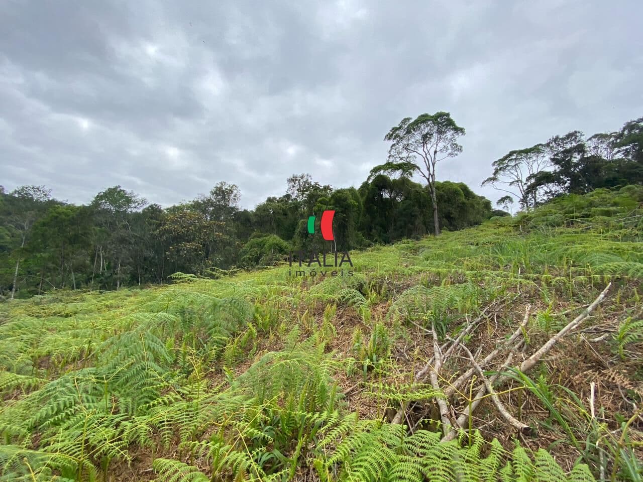 Terreno em Loteamento em Centro, Guabiruba/SC