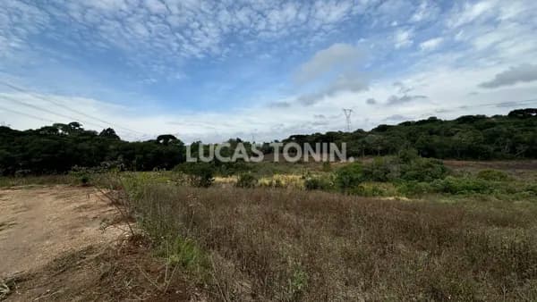 Lote com mais de 10 mil metros quadrados ideal para prédio edifício Araucária Aceita Permuta