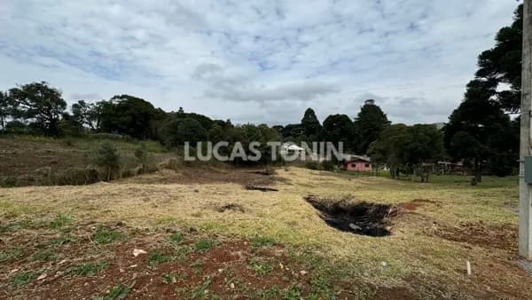 Lote com mais de 4 mil metros quadrados ideal para prédio edifício Araucária Aceita Permuta