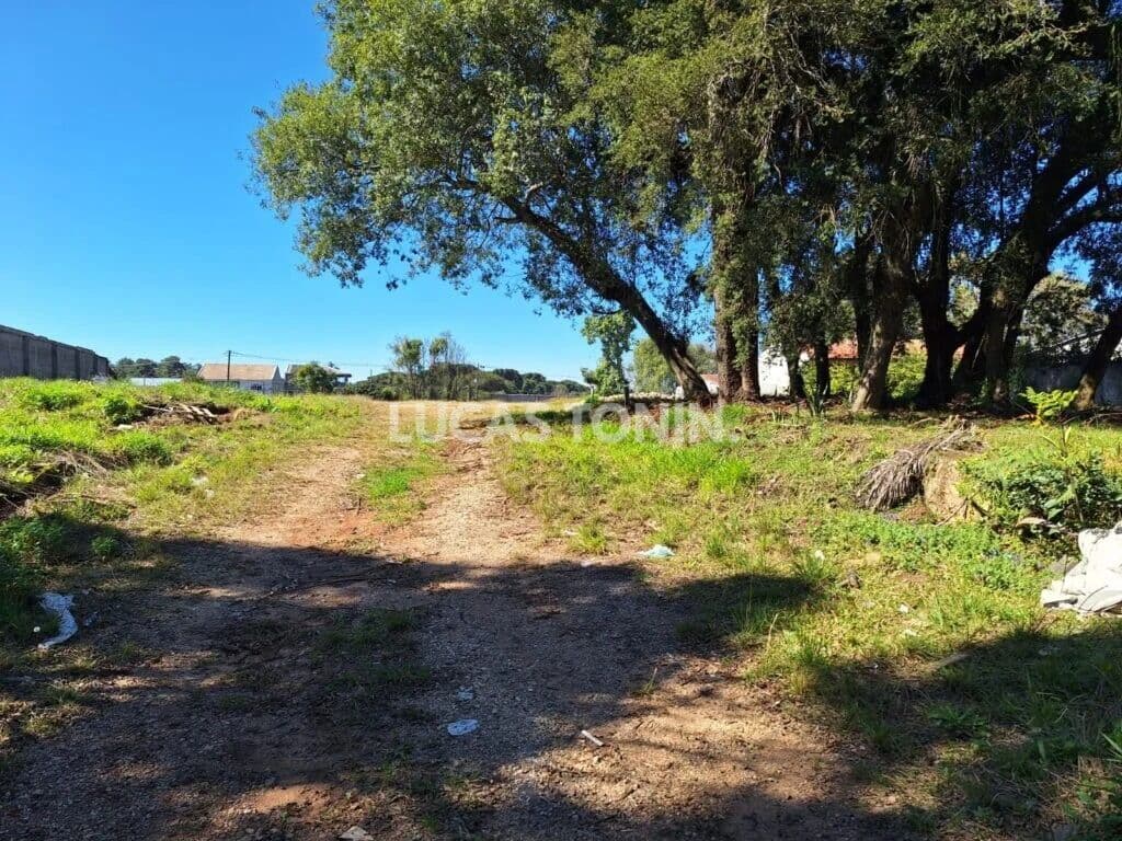 Terreno no Pinherinho Pronto Para construir Composto por 5 Lotes Curitiba