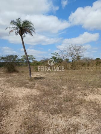 Terreno Lote em Distrito de Maria Quitéria
