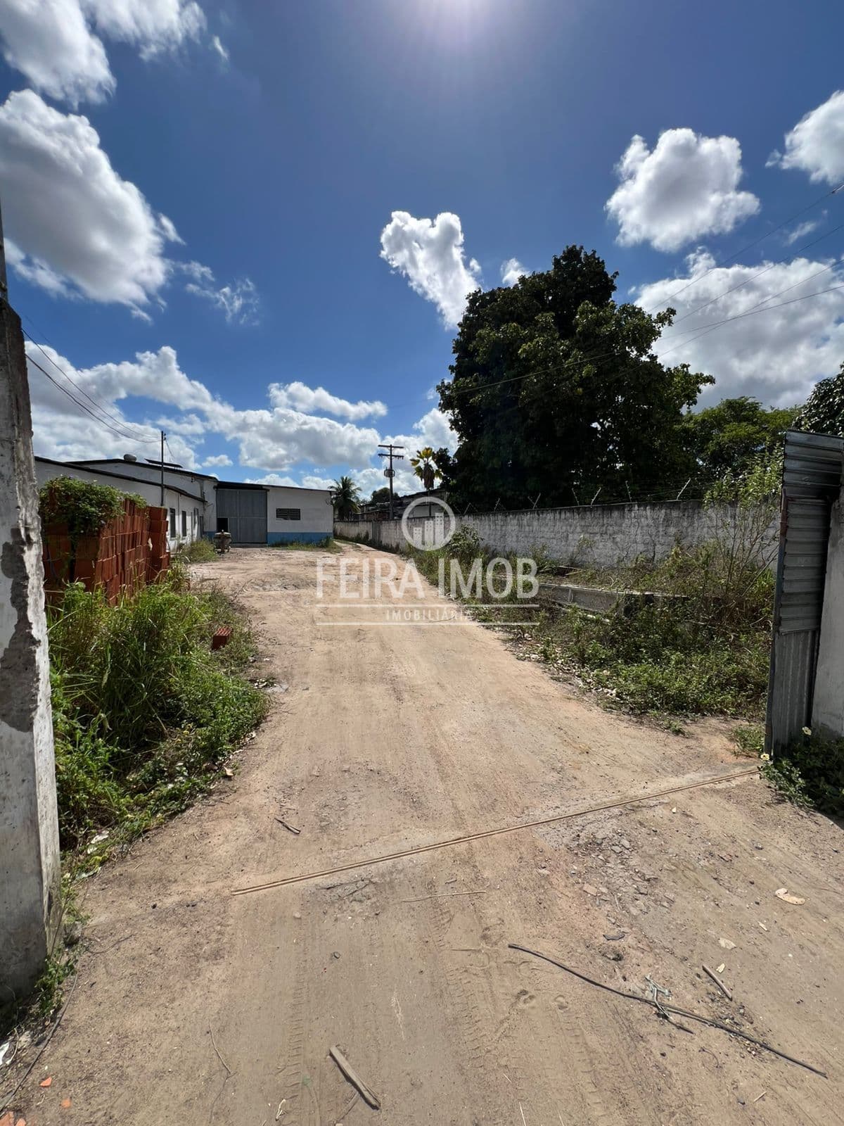 Galpão no Cis em localização privilegiado
