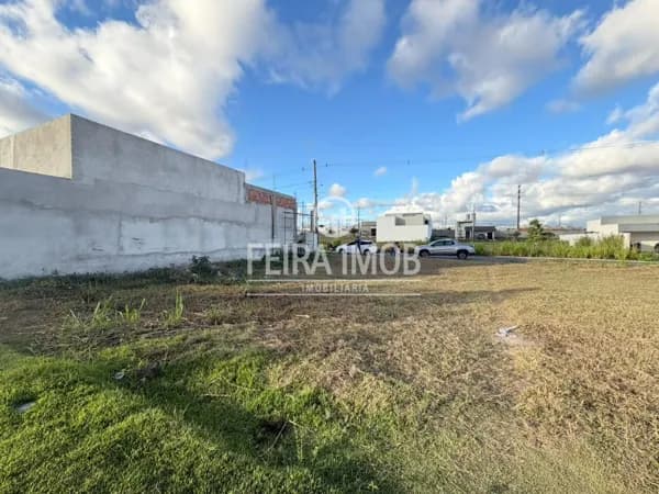 Loteamento Jardim das Tulipas 200 m² - Condomínio fechado no Recanto das Flores