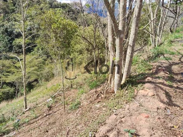 Excelente terreno ,Ótima localização em Itaipava!