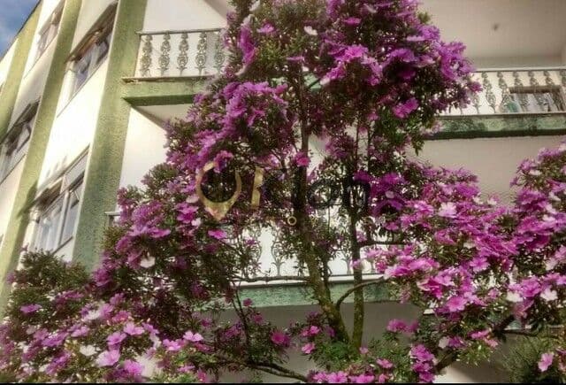 Apartamento de 2 Qts na Saldanha Marinho