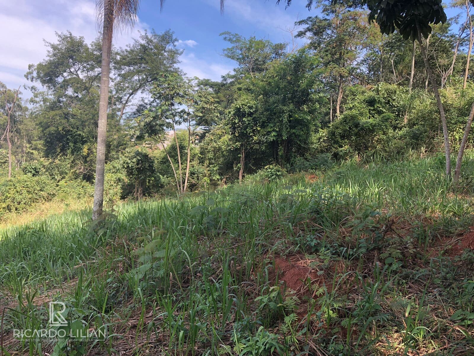 À venda: um lindo terreno plano de 378m² na encantadora cidade de Bom Jesus dos Perdões!