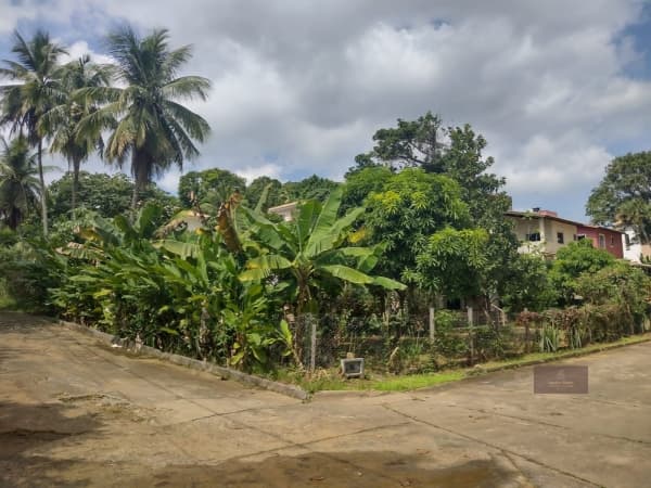 Terreno para Venda em Pituaçu Salvador-BA