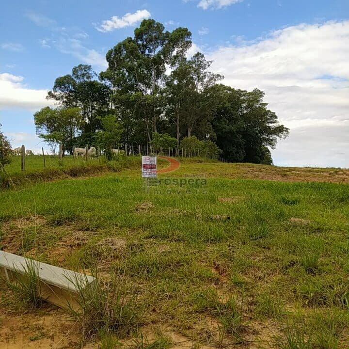 Lote/Terreno em Cocal do Sul - Jardim Das Palmeiras