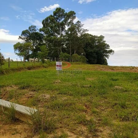 Lote/Terreno em Cocal do Sul - Jardim Das Palmeiras