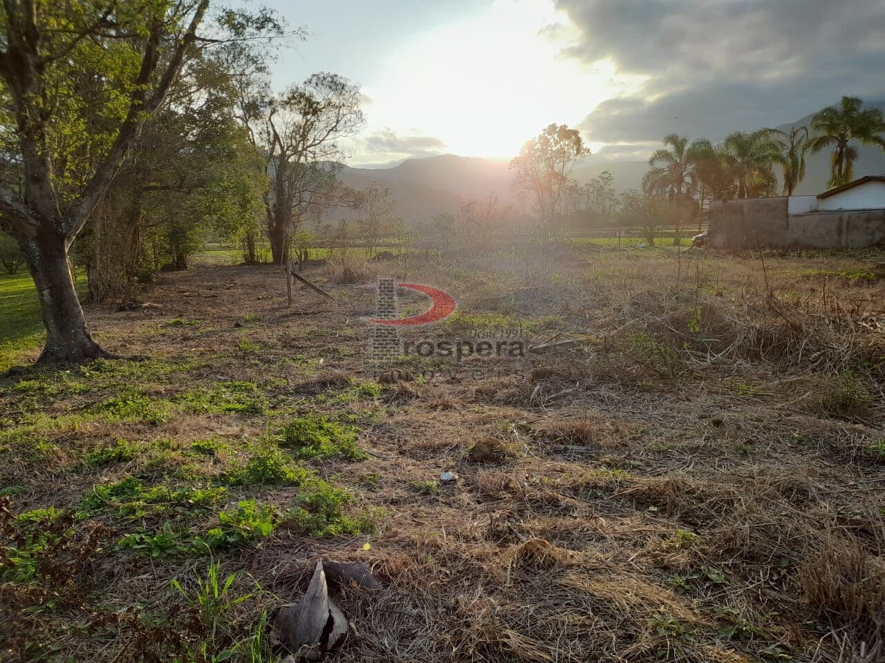 Área Rural em Via Maria - Nova Veneza/SC