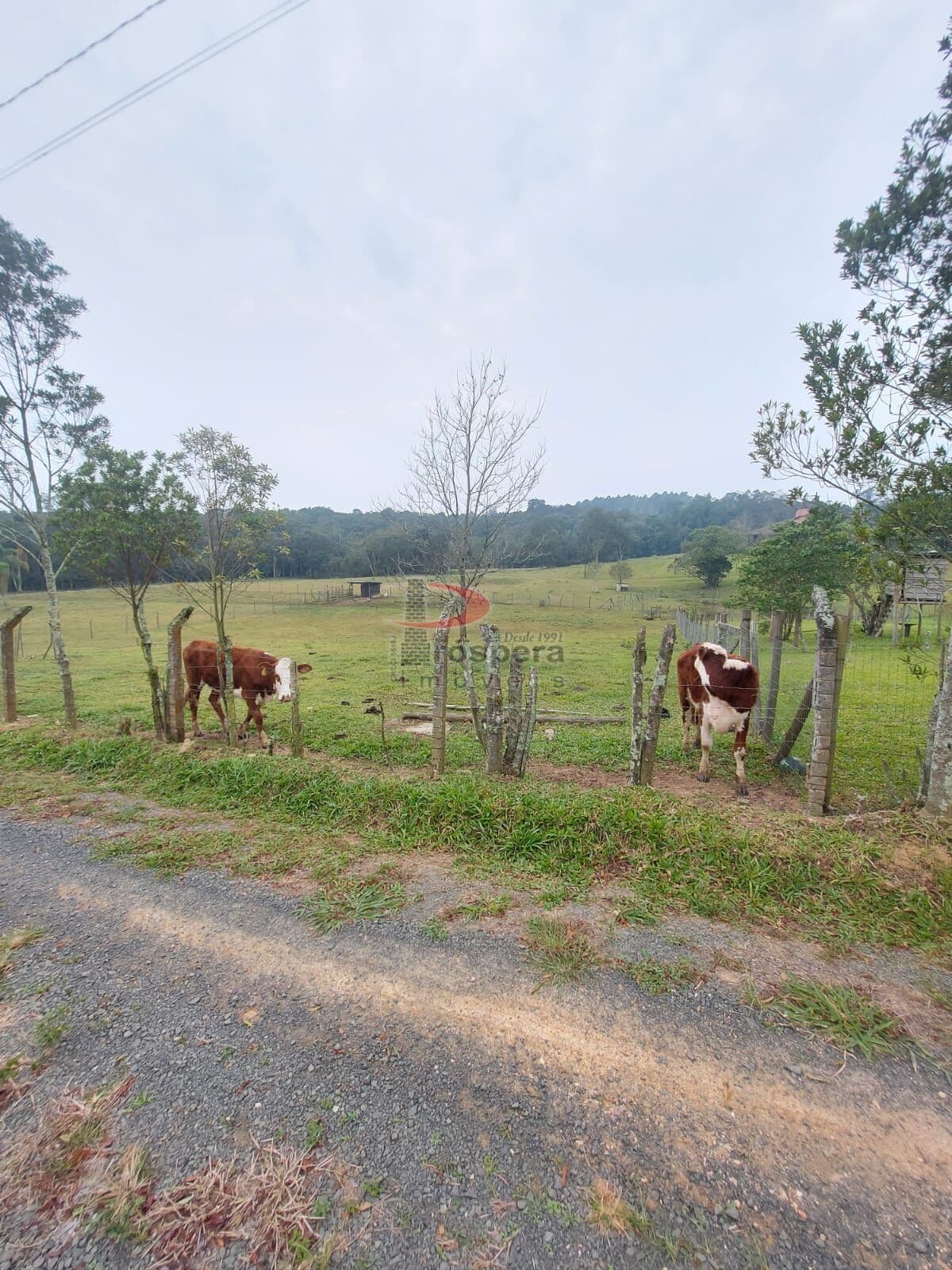 Área Rural em Morro Estevão, Criciúma/SC