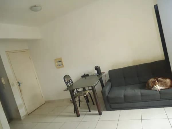 Oportunidade Única! Apartamento no Salinas por Apenas R$ 160 mil – 3/4 com Suíte!