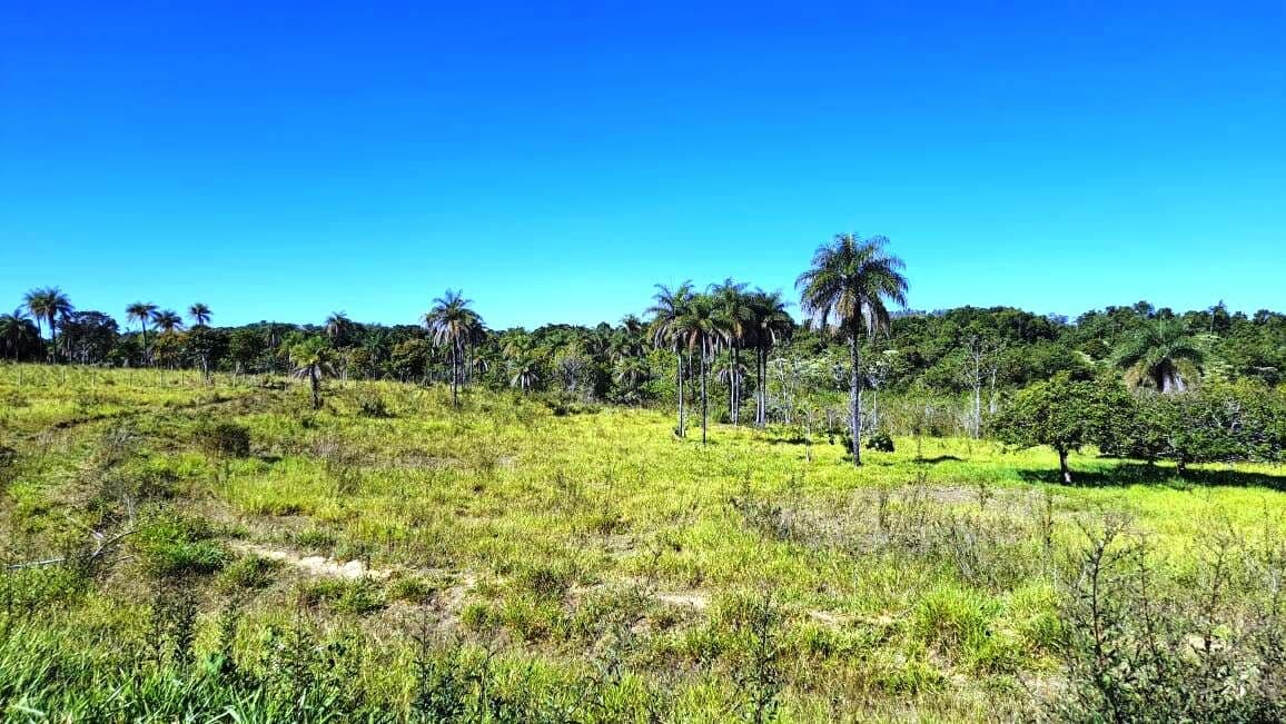 Sítio 10 hectares Brasília DF