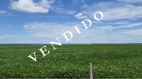 Fazenda 580 Jaborandi Bahia