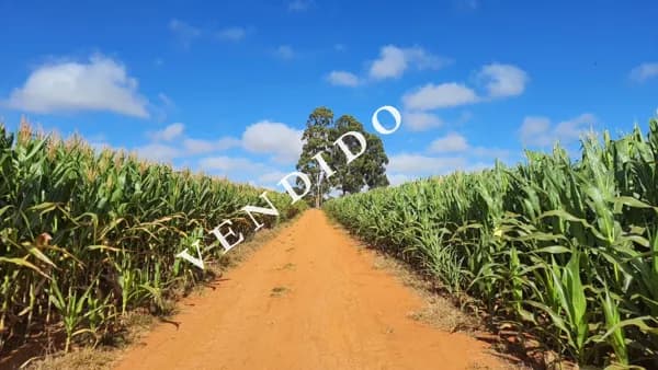 Fazenda Produtiva no Núcleo Rural Rio Preto - DF / 86 ha