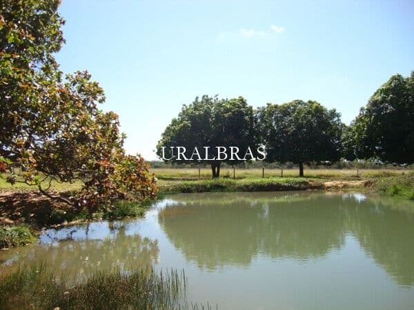 Fazenda/Sítios/Chácaras em Formosa - Centro