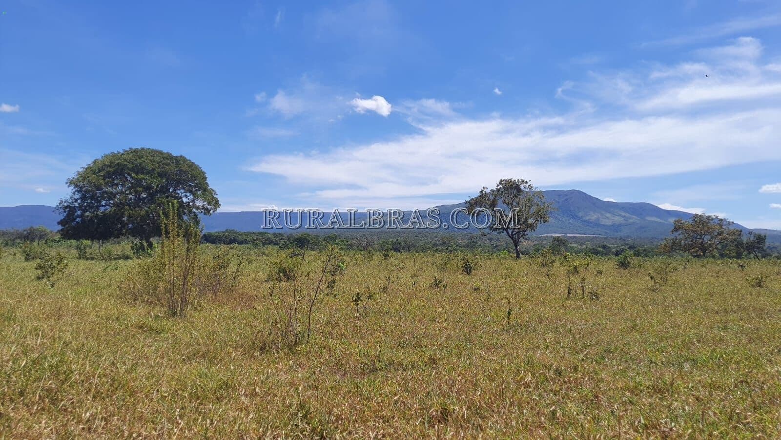 Fazenda/Sítios/Chácaras em Formosa - Centro