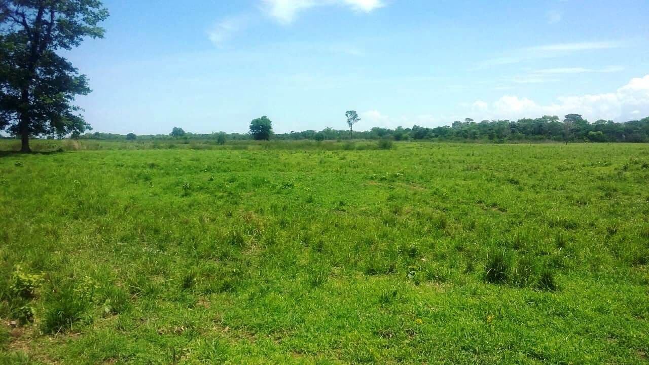 Fazenda/Sítios/Chácaras em Formosa - Centro