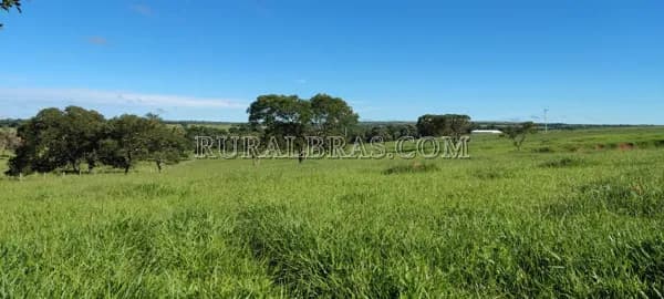 Fazenda em Formosa Goiás próximo a Brasília