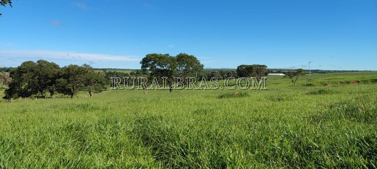 Fazenda em Formosa Goiás próximo a Brasília
