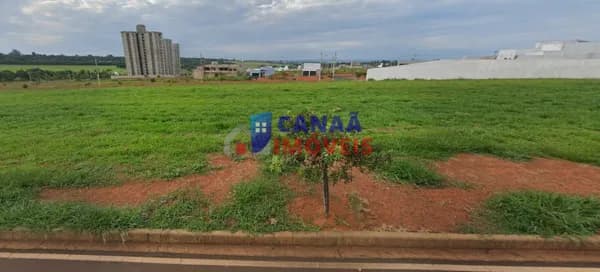 lote comercial 330m² Avenida Anselmvo Alves dos Santos