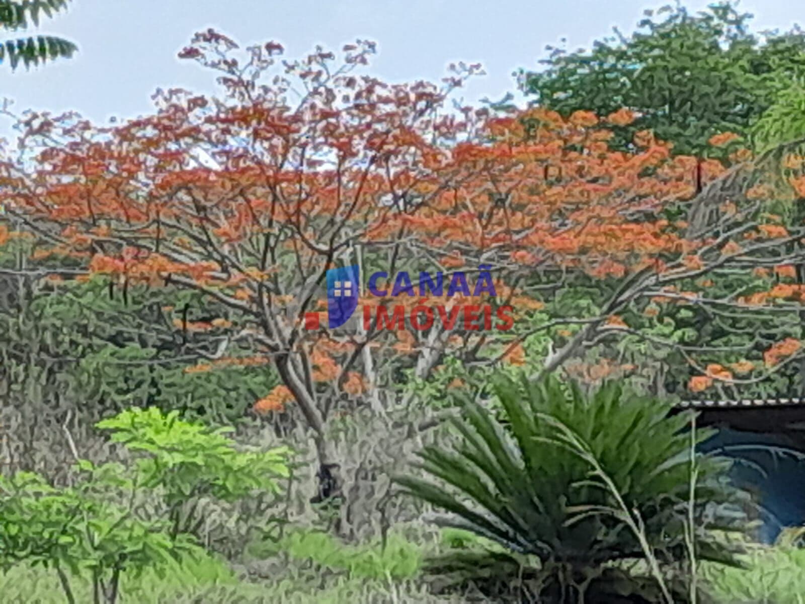 Chácara à venda! Escriturada