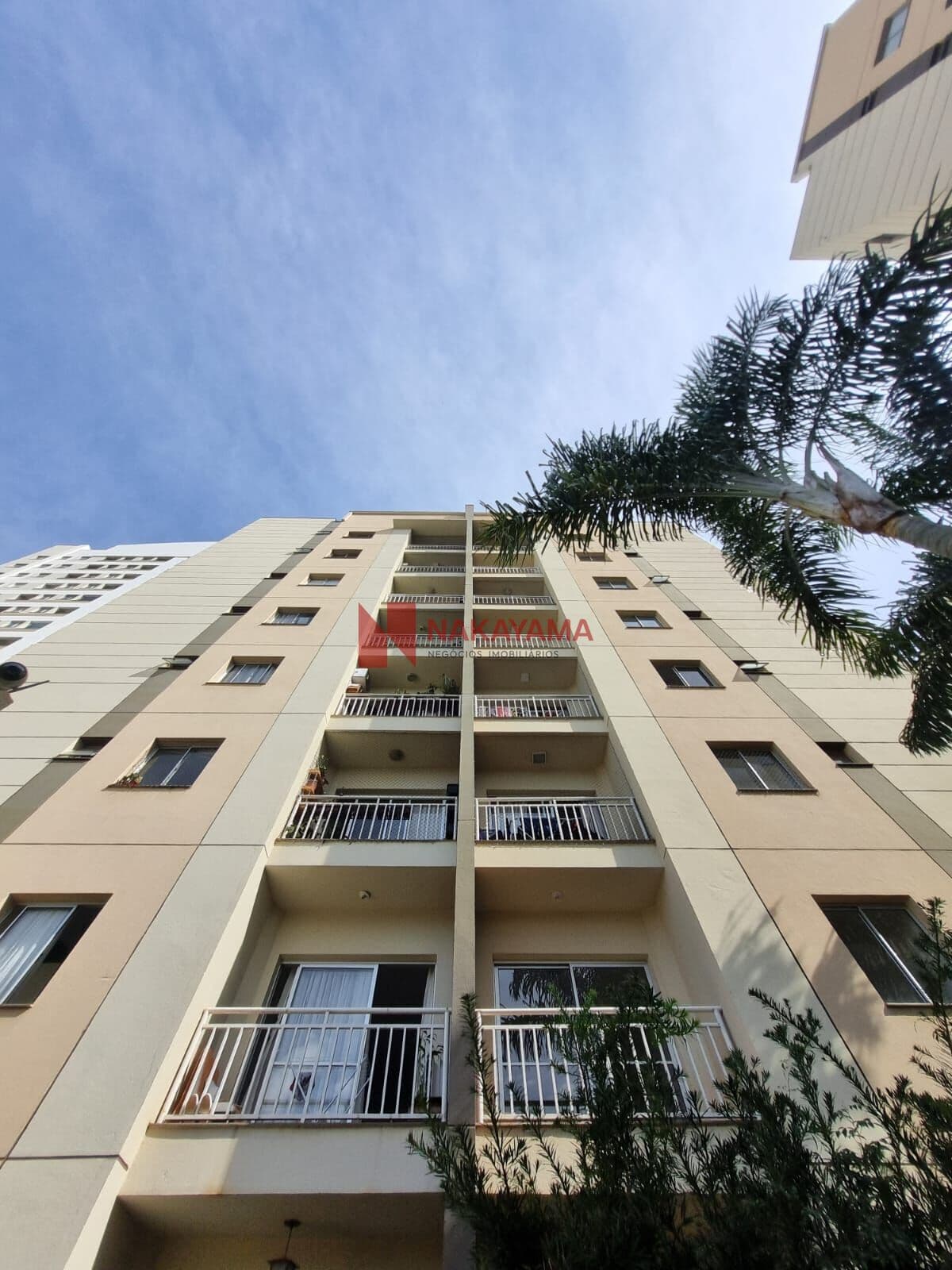 Apartamento em Londrina - Terra Bonita